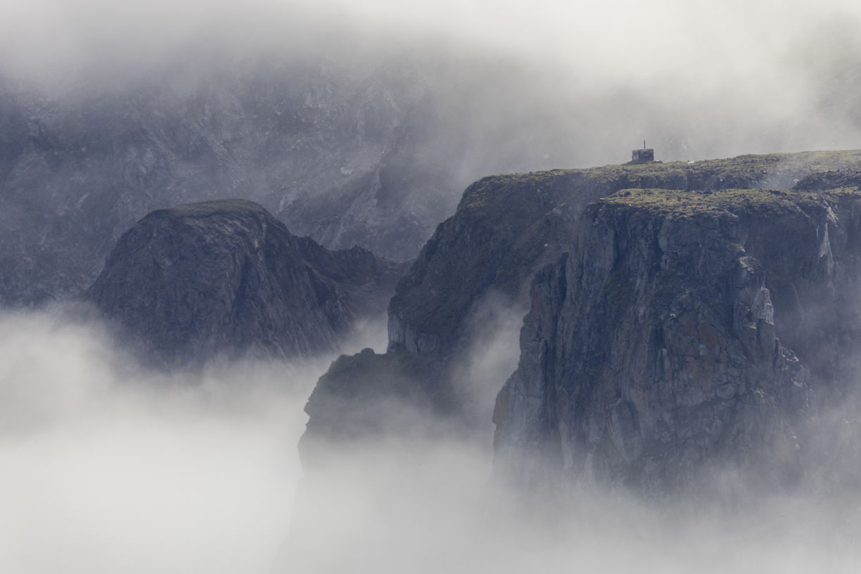 Портрет человека